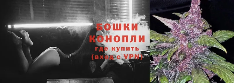 Шишки марихуана OG Kush  Каневская 